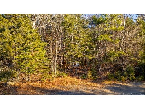 0 Boyd/Clarence Ridge Rd, Rollingdam, NB 