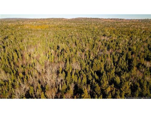 0 Boyd/Clarence Ridge Rd, Rollingdam, NB 
