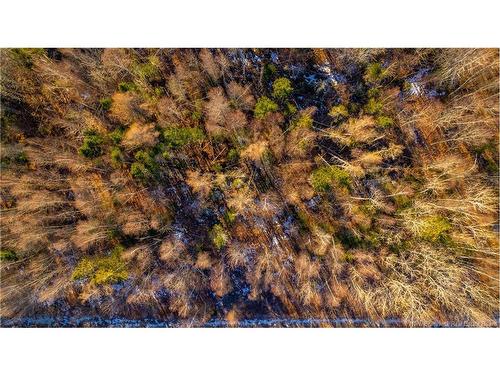 0 Boyd/Clarence Ridge Rd, Rollingdam, NB 