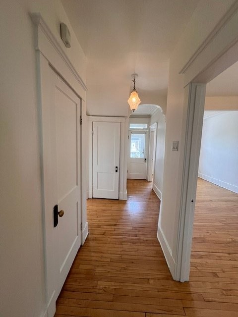 8411 Rue St Hubert — photo 1