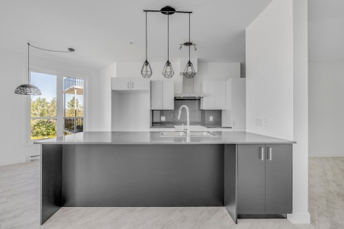 Kitchen - 106-1600 Rue Mozart, Lévis (Desjardins), QC - Indoor Photo Showing Kitchen With Upgraded Kitchen