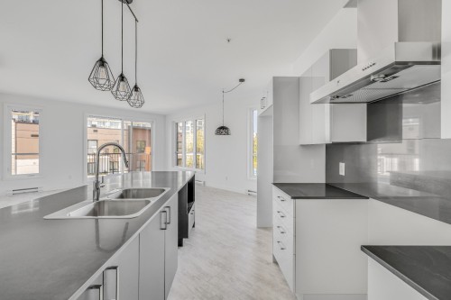 Kitchen - 106-1600 Rue Mozart, Lévis (Desjardins), QC - Indoor Photo Showing Kitchen With Double Sink With Upgraded Kitchen