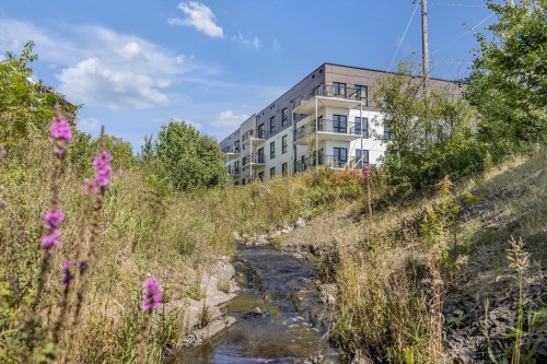 Other - 205-1620 Rue Mozart, Lévis (Desjardins), QC - Outdoor