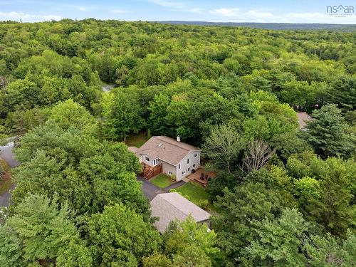 47 Stone Mount Drive, Lower Sackville, NS - Outdoor With View