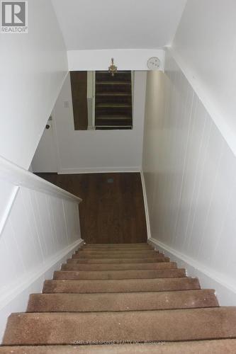LOWER - 20 NOOTKA CRESCENT , Toronto, Ontario M2H 2X6 3