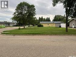 300 COTEAU AVENUE W  Carlyle, SK S0C 0R0