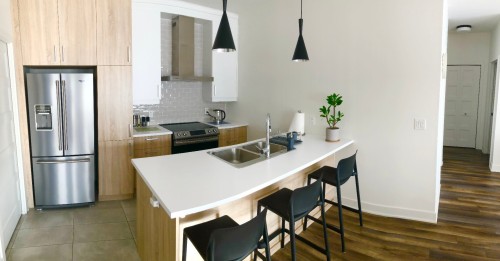 Kitchen - 305-3625 Rue Médard-Émard, Longueuil (Saint-Hubert), QC 