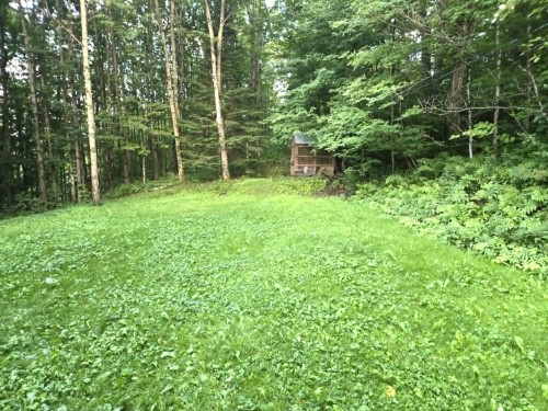 Cour - 261 Route Des Bourque, Saint-Benoît-Labre, QC - Outdoor