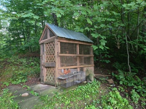 Extérieur - 261 Route Des Bourque, Saint-Benoît-Labre, QC - Outdoor
