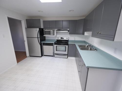 735 Ernestine Avenue, Thunder Bay, ON - Indoor Photo Showing Kitchen With Double Sink