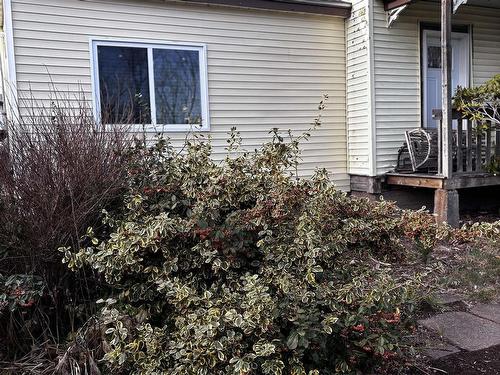 55 Maple Avenue, Bass River, NS - Outdoor