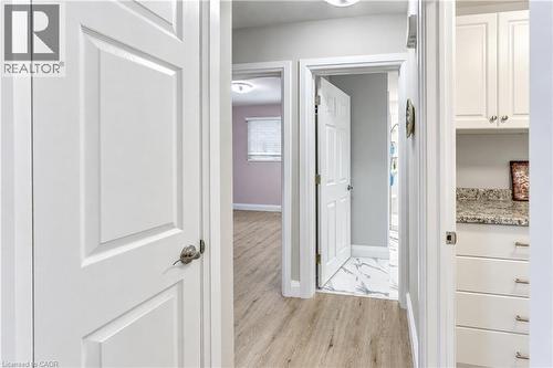 Hallway featuring wood-finish flooring, white panel doors, and built-in white cabinetry with a granite countertop - 87 Bond Street, Kitchener, ON 