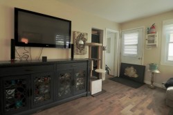 Salon - 