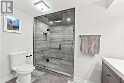 Bsmt bathroom w/ large shower and heated floors - 