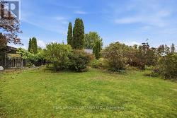 Backyard - 