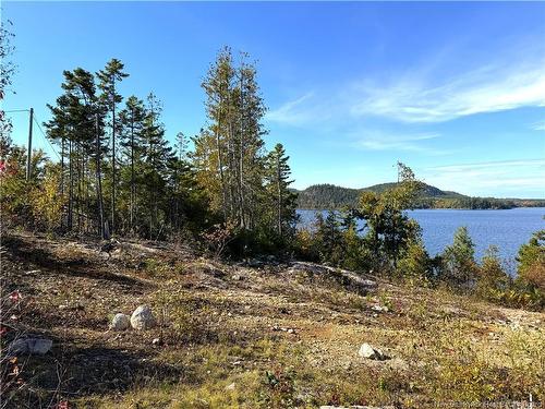 - Bluff Road, Utopia, NB 