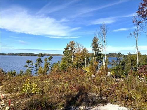 - Bluff Road, Utopia, NB 