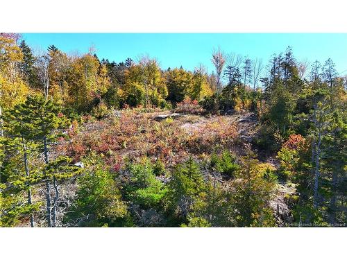 - Bluff Road, Utopia, NB 