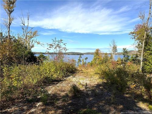 - Bluff Road, Utopia, NB 