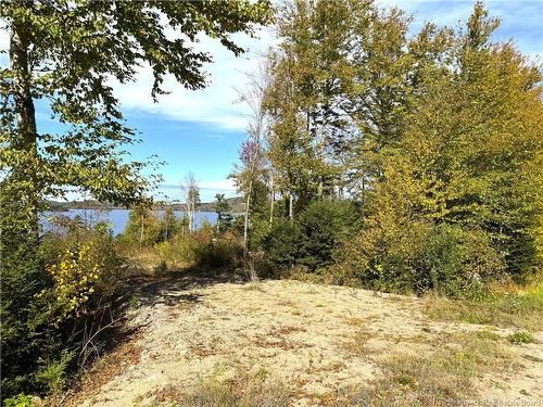 - Bluff Road, Utopia, NB 