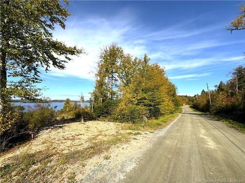 - Bluff Road, Utopia, NB 