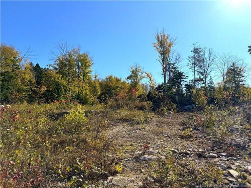 - Bluff Road, Utopia, NB 