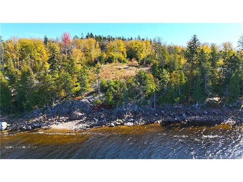 - Bluff Road, Utopia, NB 