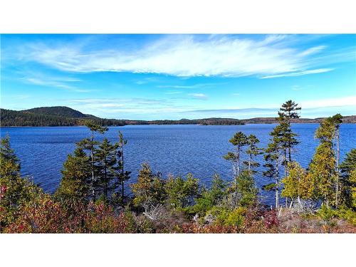 - Bluff Road, Utopia, NB 
