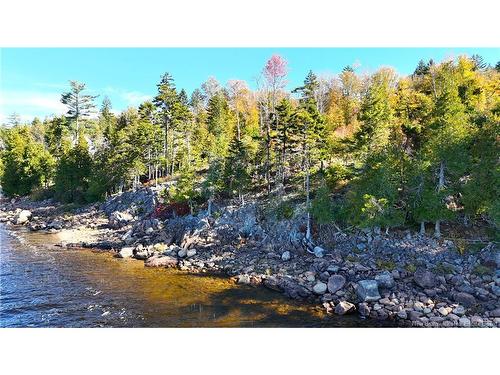 - Bluff Road, Utopia, NB 