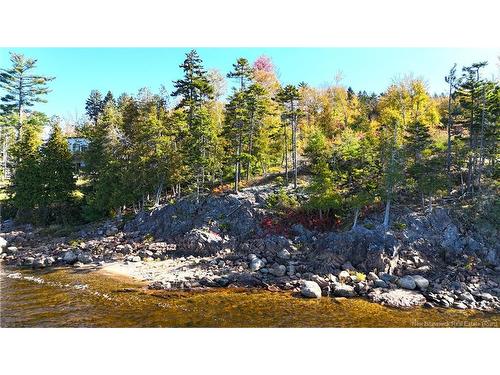 - Bluff Road, Utopia, NB 