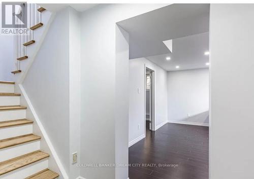 LOWER - 231 ELIZABETH STREET S , Brampton, Ontario L6Y 1S2 3