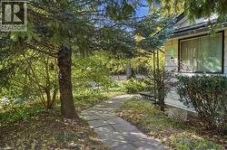 Stone pathway leading to the residence, complemented by established evergreen trees and maintained shrubbery - 
