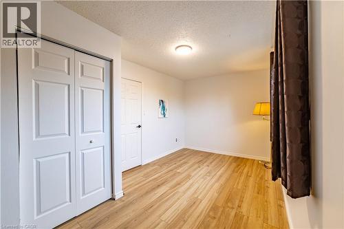 Wood-finish flooring, white paneled interior doors, and a flush-mount ceiling light fixture - 227 Fergus Avenue, Kitchener, ON 