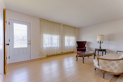 Salon - 