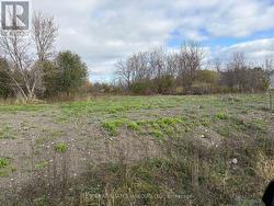 5363 WOODLAND DRIVE  South Stormont, ON K0C 1M0