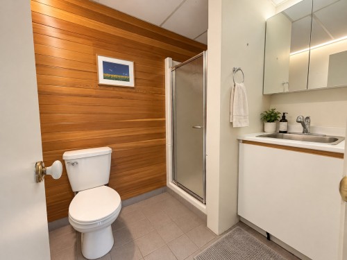 Salle de bains - 783 Rue Richer, Sainte-Adèle, QC 