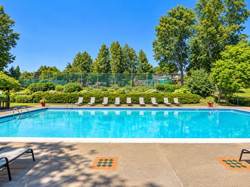 Piscine - 783 Rue Richer, Sainte-Adèle, QC 