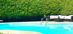 Piscine - 