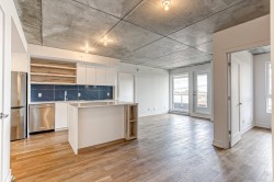 413-4820 4e Avenue Montréal (Rosemont/La Petite-Patrie), QC H1Y 2T8