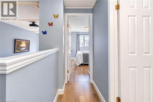 Wood-finish flooring, white paneled interior doors, and crisp white trim - 327 Oprington Place, Kitchener, ON 