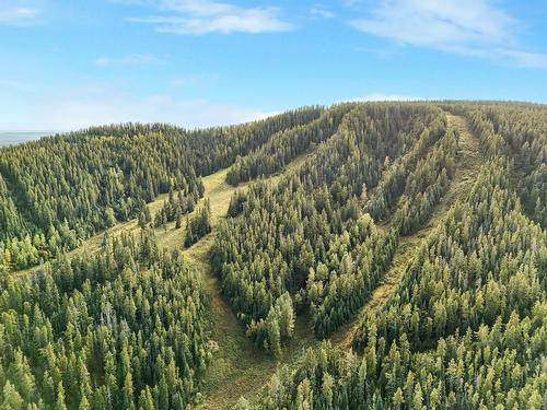 Silver Summit Road, Edmonton, AB 
