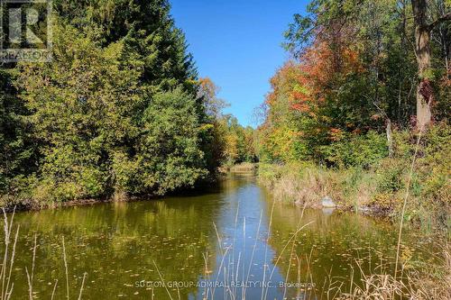8400 19Th Sideroad, King, ON 