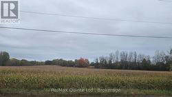 0 FRANKFORD ROAD Quinte West (Sidney Ward), ON K0K 2B0