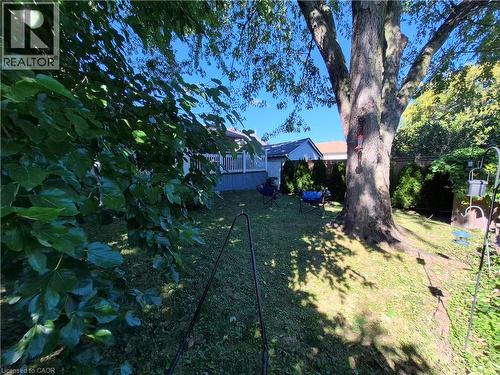 Backyard featuring mature trees, a lawn, and perimeter wood fencing - 143 Walter Avenue S, Hamilton, ON 