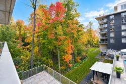 Terrasse - 
