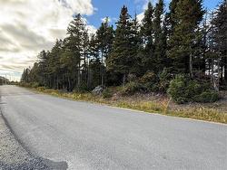 180-182 Glam Road  Clarkes Beach, NL A0A 1W0