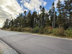 184-186 Glam Road  Clarkes Beach, NL A0A 1W0
