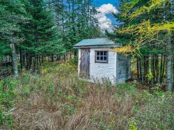 Shed - 