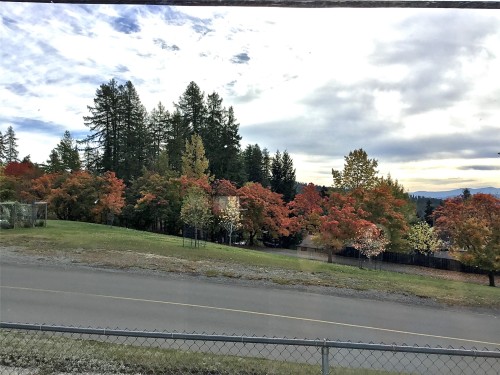 406 5Th Avenue, Kimberley, BC 