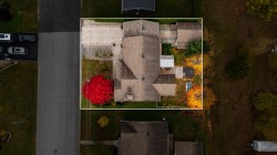 Overall view - 